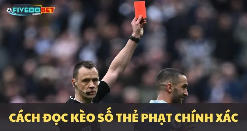 Hướng dẫn đọc kèo Exact Number of Cards