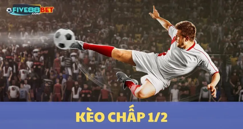 Kèo Chấp 1/2: Cách Tăng Cơ Hội Thắng Cược Tại Five88