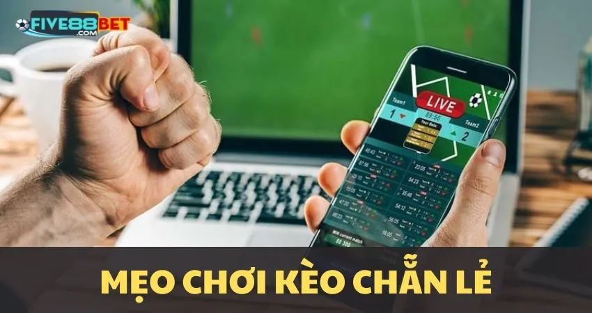 Mẹo chơi cược chẵn lẻ hiệu quả