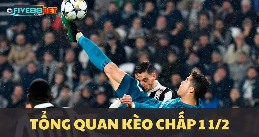 Kèo chấp 1 1/2 là gì?