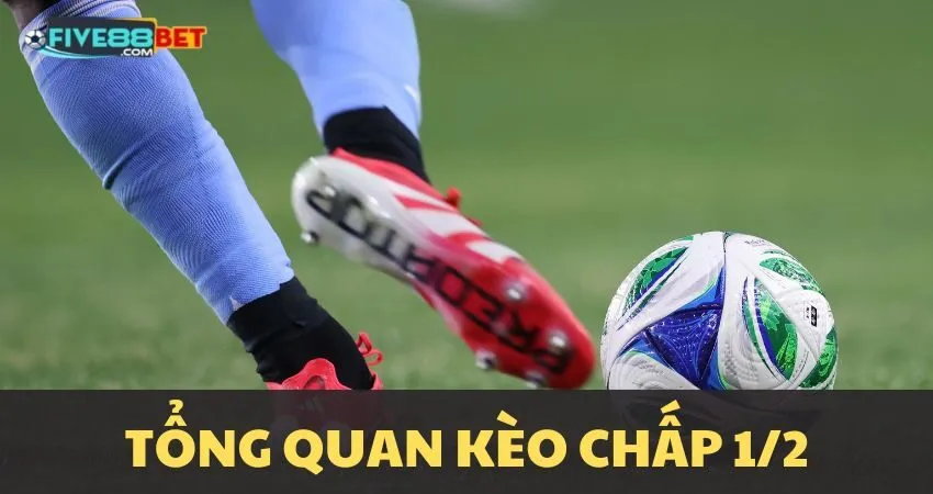 Kèo chấp 1/2 là gì?