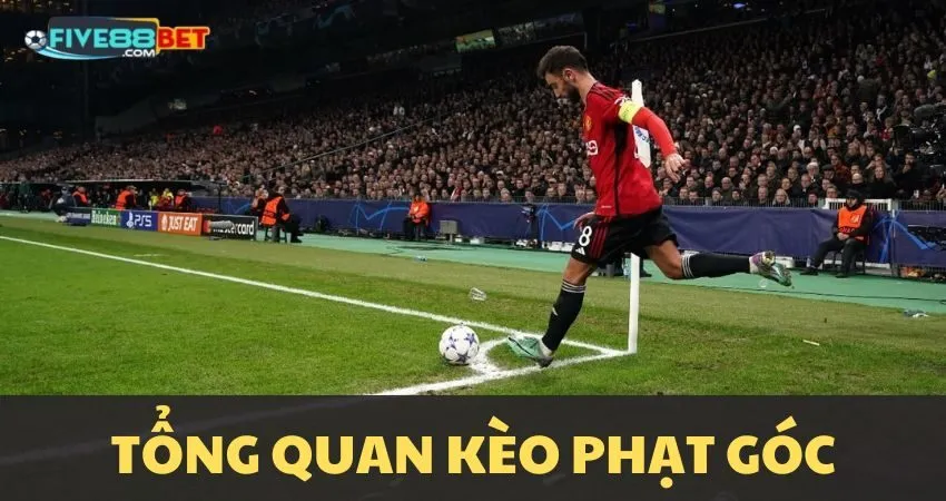 Kèo phạt góc là gì?